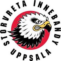 Säljare till vår samarbetspartner Storvreta IBK
